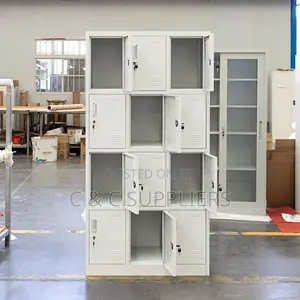12-Door's Metallic File Locker