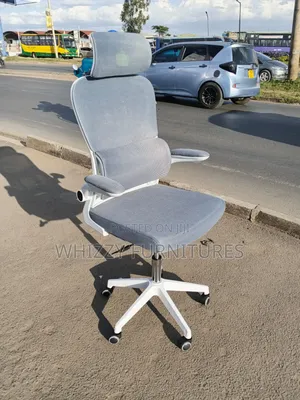 Executive Ergonomic Chair – Adjustable Reclining