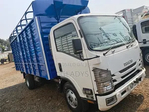 Isuzu NQR Open Body Year 2023