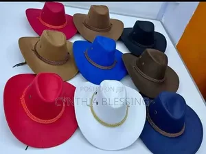 Cowboy Hats in Various Colors_5