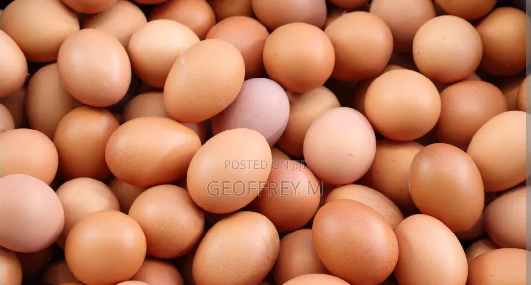 Eggs for Sales Call