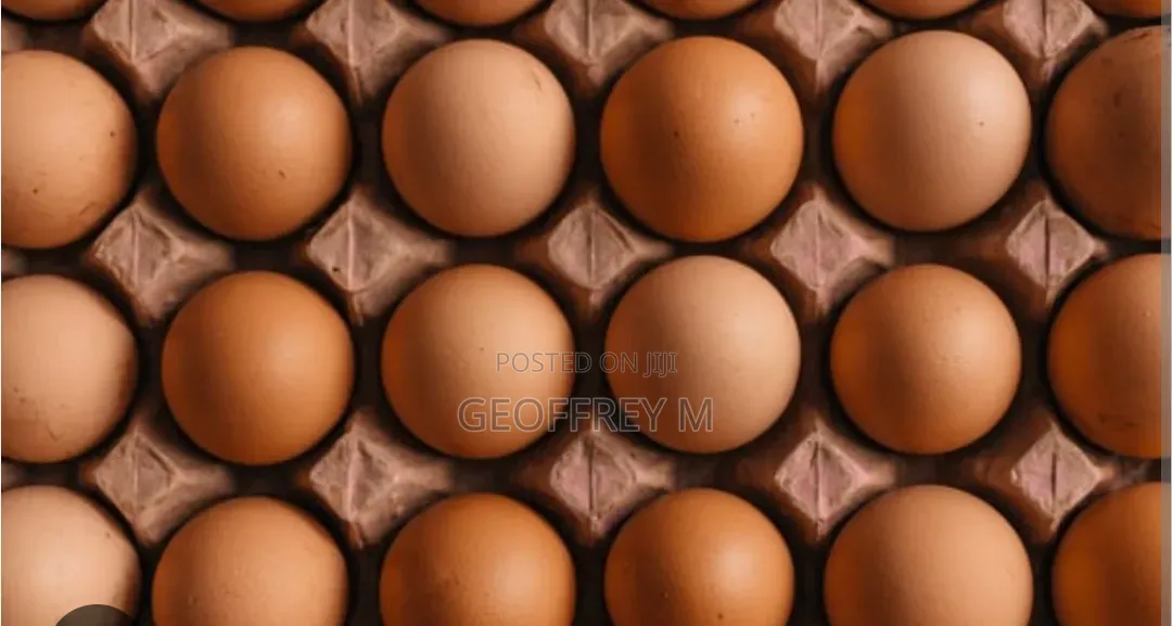 Eggs for Sales Call