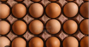 Eggs for Sales Call