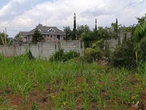 One Acre Land for Sale in Lower Elgon View Eldoret.