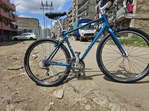 Giant Gravier Hybrid Bike