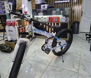 Foldable Bicycle With Gear Size