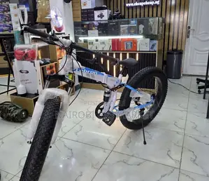 Foldable Bicycle With Gear Size
