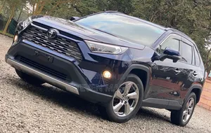 Toyota RAV4 2019 Blue