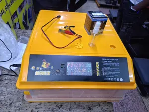 64eggs Incubator