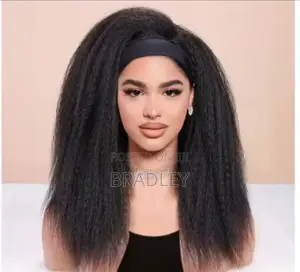 Long Kinky Straight Hair Wigs
