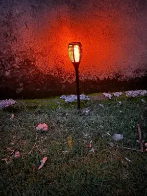 Fire Solar Lights