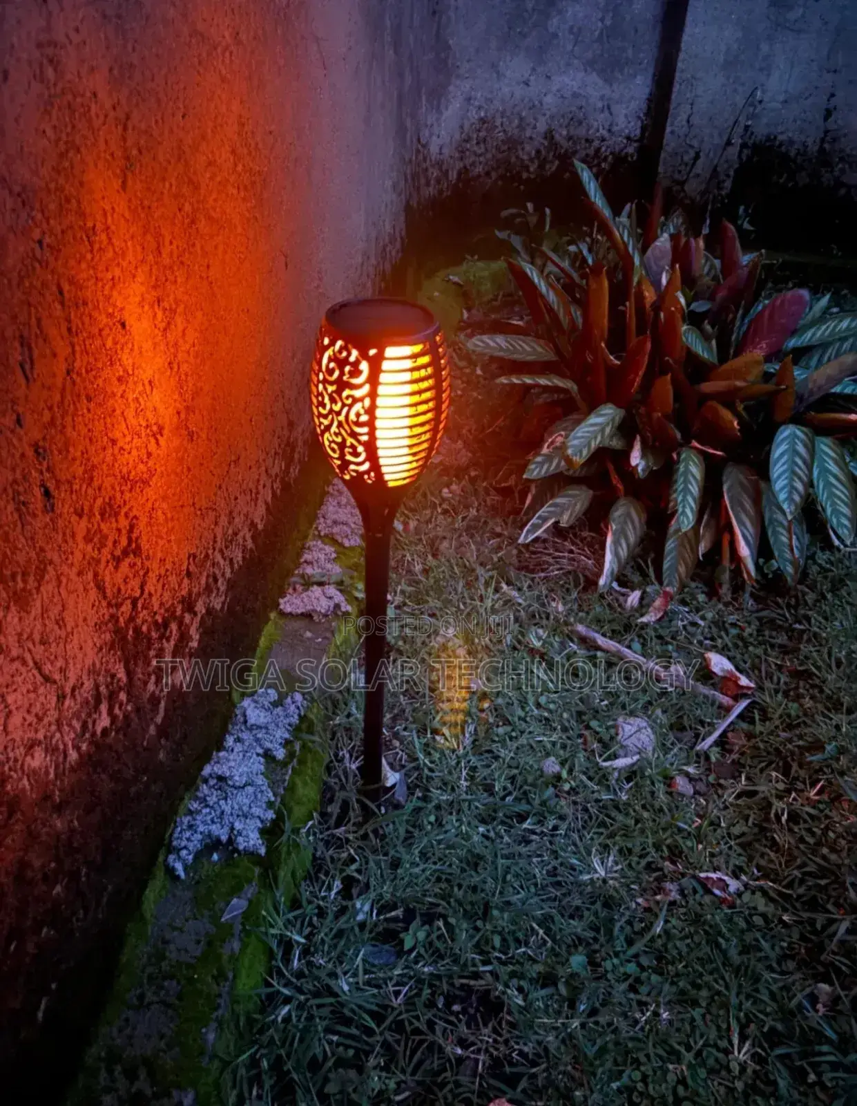 Fire Solar Lights