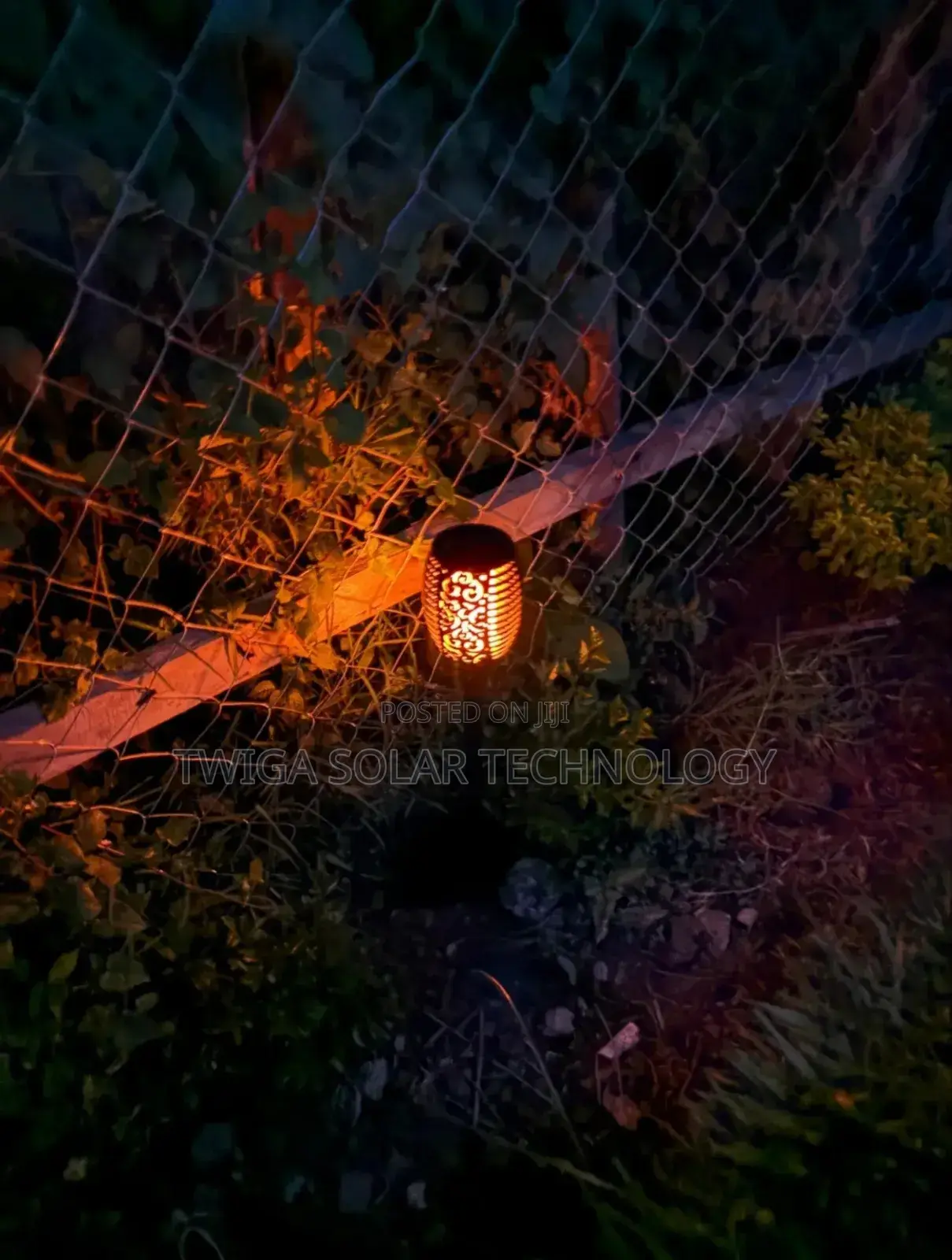 Fire Solar Lights