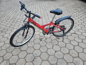 Birdgeatone Bike Size 22