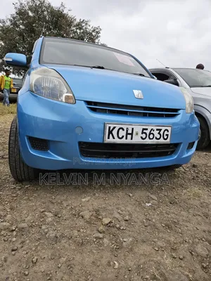 Toyota Passo 2009 Blue