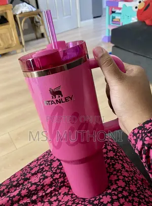 Every Day Is a Barbie Day Limited Edition  Stanley Cup
