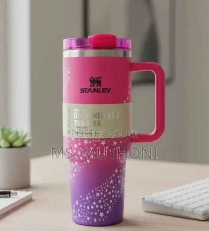Every Day Is a Barbie Day Limited Edition  Stanley Cup