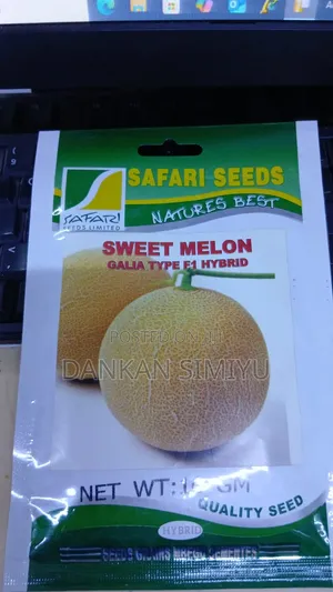Sweet Melon Seeds 10 Grams
