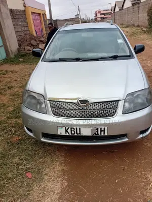 Toyota Corolla Fielder 2006 Silver