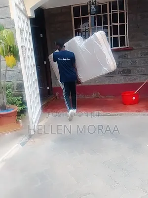 Professional Moving Services