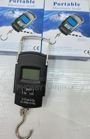 Portable Weighing Scale/Portable Scale 50kgs