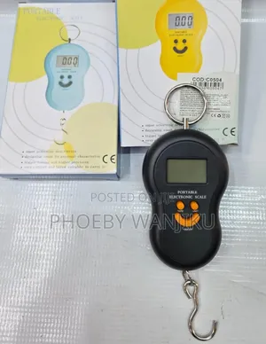 50kgs Mini-Weighing Scale/Small Weighing Scale