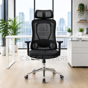 Modern Orthopedic Chair With Lumber Support