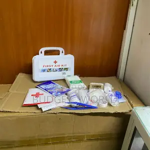 75-Piece Essential First Aid Kit – Lightweight Medical Supplies for Ca