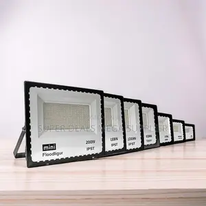 Super Bright 200w,100w,50w,30w Ac Electric Led Flood Light