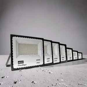 Energy-Efficient 200w,100w,50w,30w Ac Electric Led Flood Light