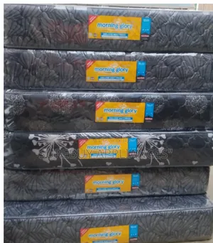 5x6 10-Inch Quilted Morning Glory Superfoam Mattress