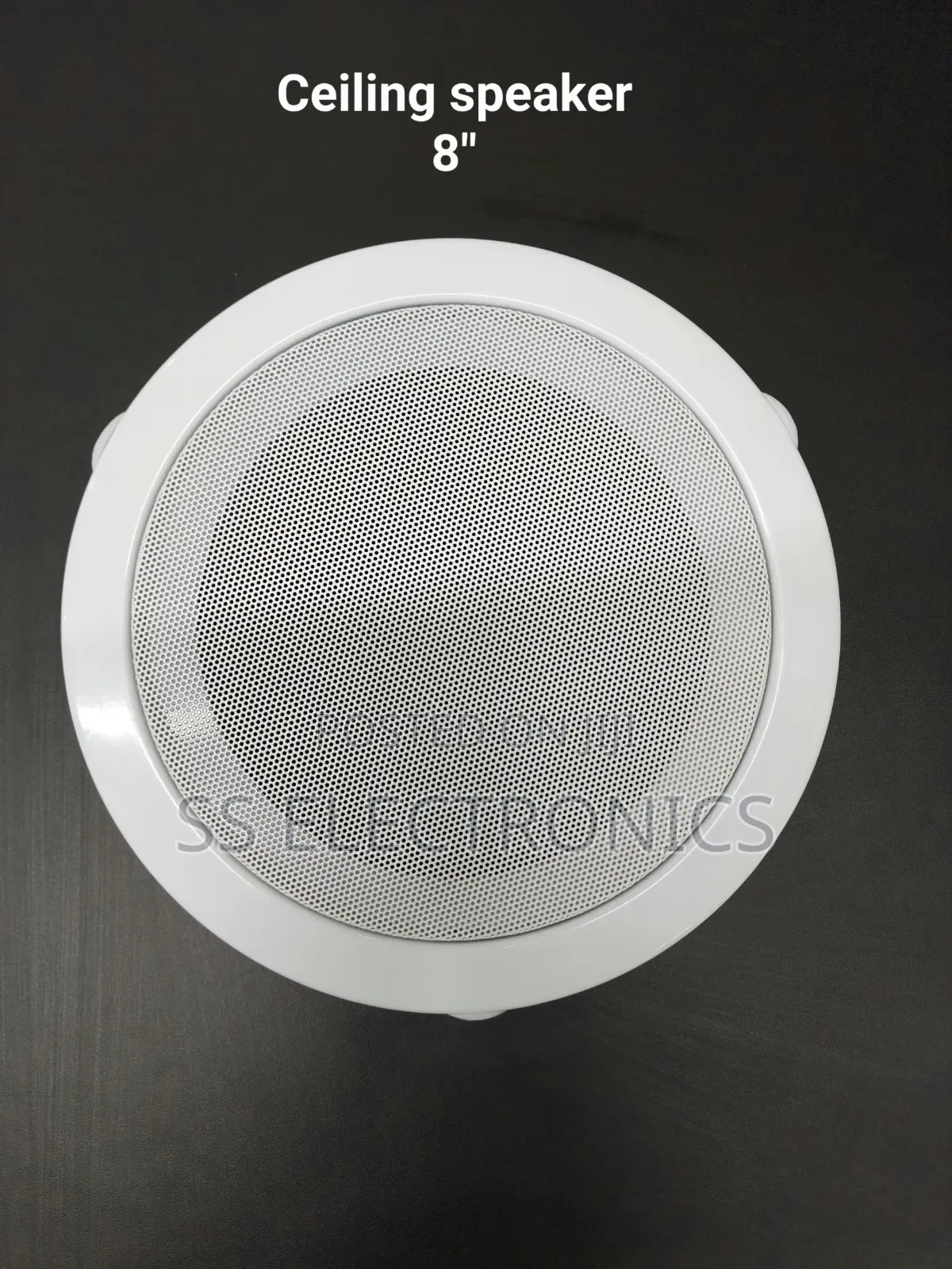 Celling Speaker 8"