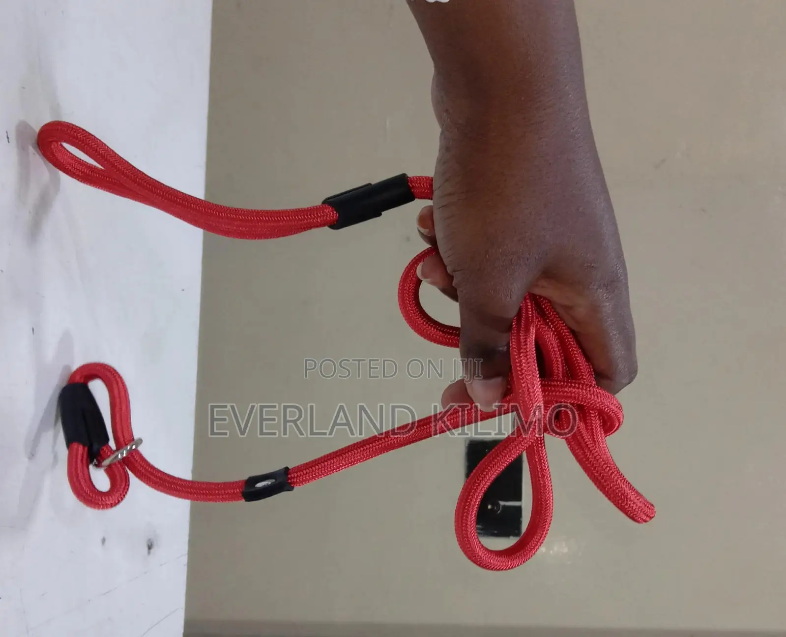 Slip Leash and Collar Combo for Dogs