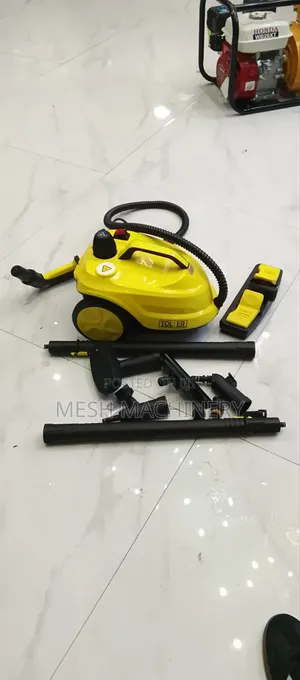 Portable Toller Steam Cleaner Machine 2000w