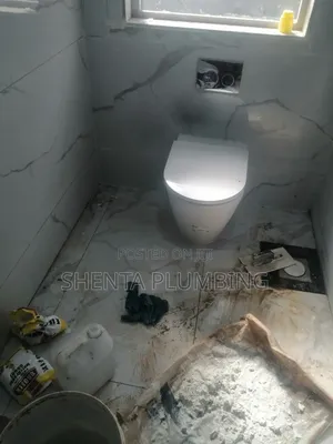 Professional Plumber