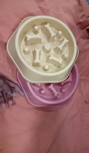 Slow Pet(Dog) Bowl for Fast Eaters