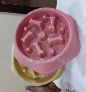 Puzzle Colored Slow Dog Bowl