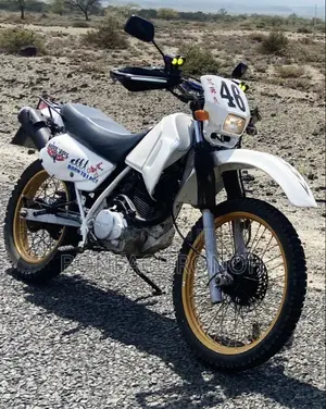 Honda 2005 White
