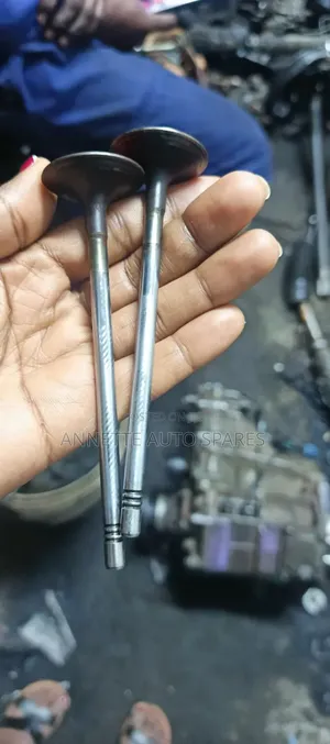 Engine Valve Exhaust 4p10