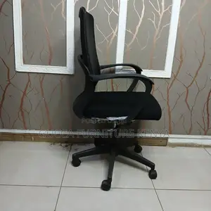 Ergonomic Lower Back Mesh Chair