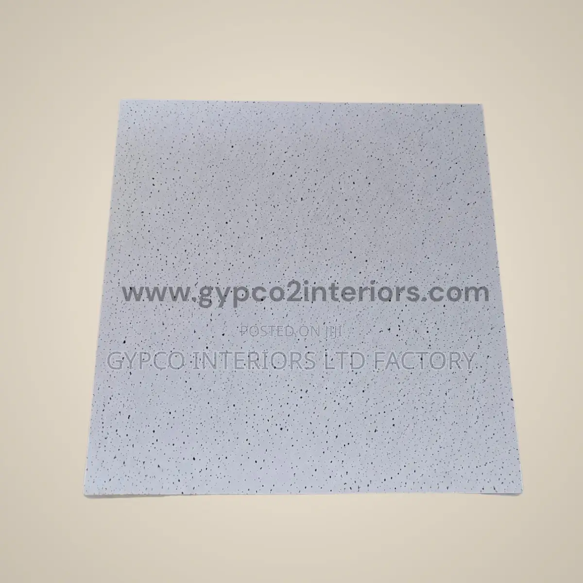 Acoustic Ceiling Boards