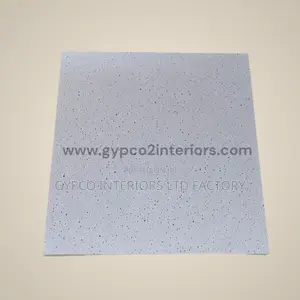 Acoustic Ceiling Boards
