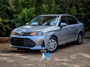 Toyota Axio 2019 Silver