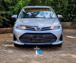 Toyota Axio 2019 Silver