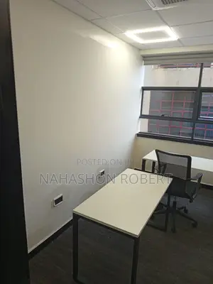 Professional Painting Services