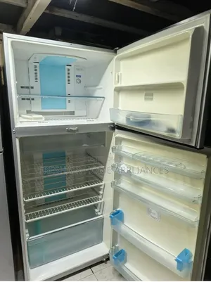 Cool Commercial Big Double Fridge