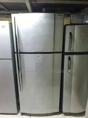 Cool Commercial Big Double Fridge