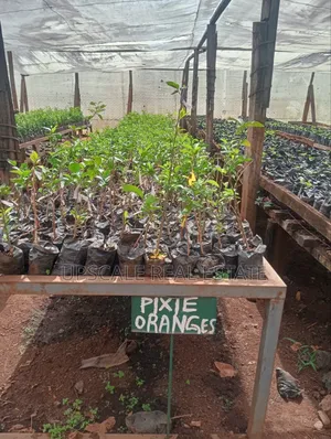 Get Land That Earns You Money