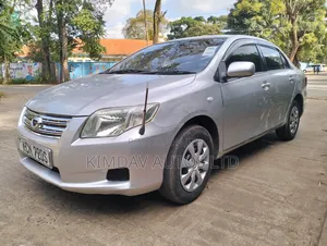 Toyota Axio 2010 Silver
