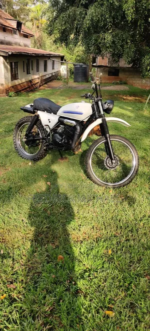 Suzuki 2010 White